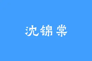 沈锦棠