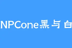 NPCone黑与白