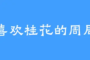 喜欢桂花的周局