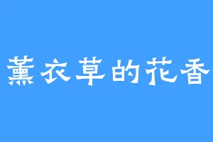 薰衣草的花香