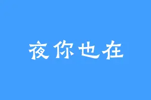 夜你也在