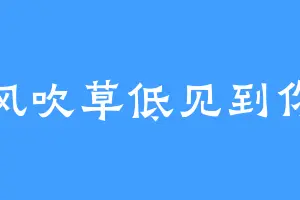 风吹草低见到你