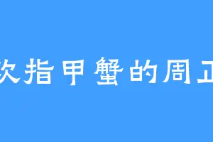 喜欢指甲蟹的周正书
