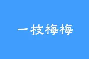 一枝梅梅