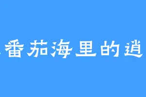 游在番茄海里的逍遥鱼