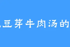 爱吃豆芽牛肉汤的小呆