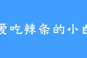 爱吃辣条的小白