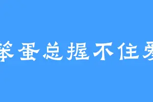 笨蛋总握不住爱