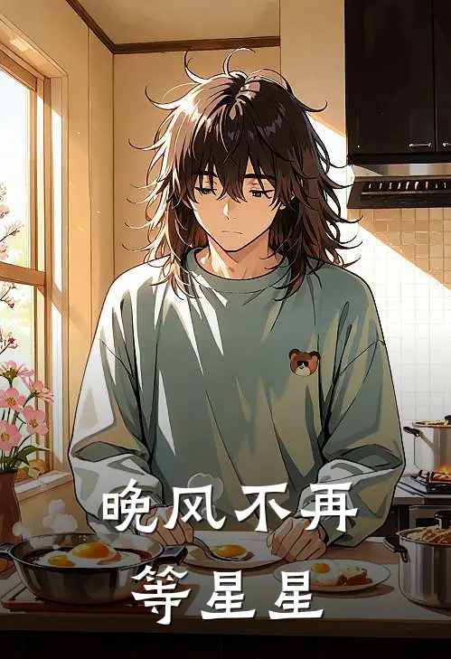 晚风不再等星星