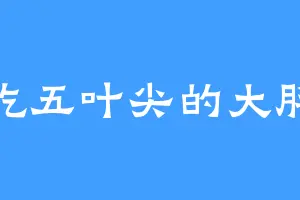 爱吃五叶尖的大胖哥