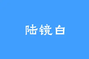 陆镜白