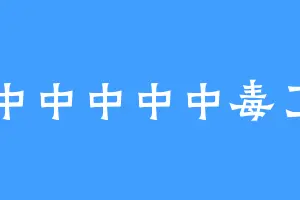 中中中中中毒了