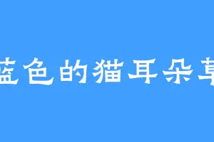 蓝色的猫耳朵草