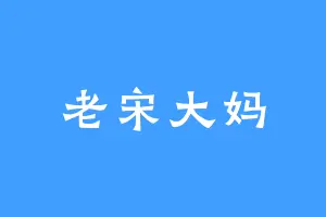 老宋大妈