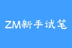 ZM新手试笔