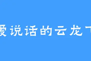 爱说话的云龙飞