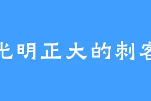 光明正大的刺客