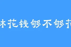 林花钱够不够花