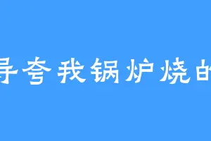 领导夸我锅炉烧的好