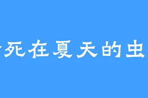冷死在夏天的虫子
