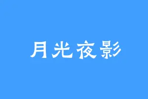 月光夜影