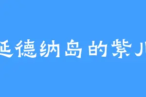 延德纳岛的紫儿