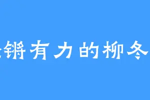 铿锵有力的柳冬实