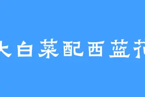 大白菜配西蓝花