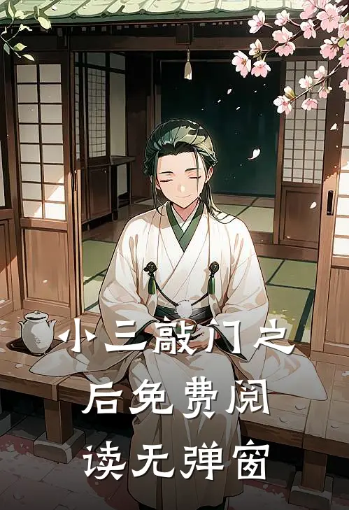小三敲门之后免费阅读无弹窗