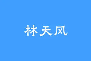 林天风