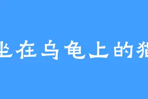 坐在乌龟上的猫