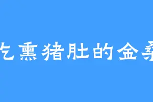 爱吃熏猪肚的金桑君