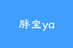 胖宝ya