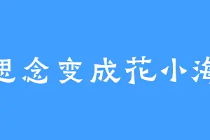思念变成花小海