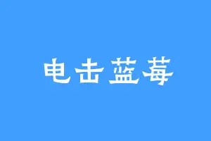 电击蓝莓