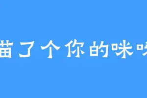 喵了个你的咪呀