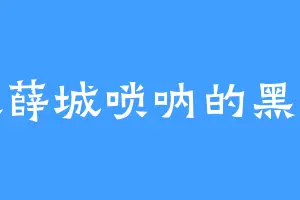 喜欢薛城唢呐的黑耀道