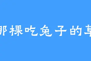那棵吃兔子的草