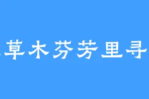 在草木芬芳里寻我