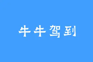 牛牛驾到