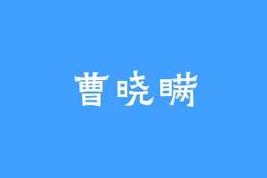 曹晓瞒