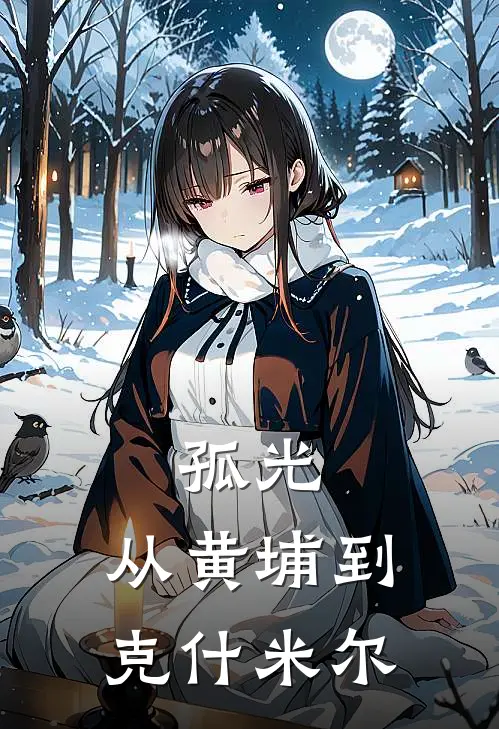 孤光：从黄埔到克什米尔