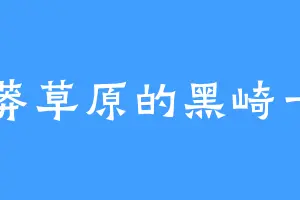北莽草原的黑崎一勇