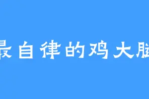 最自律的鸡大腿