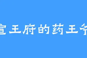 宣王府的药王爷