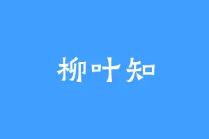 柳叶知