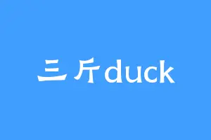 三斤duck