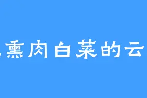 爱吃熏肉白菜的云三郎