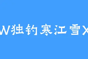 W独钓寒江雪X