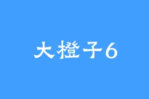 大橙子6